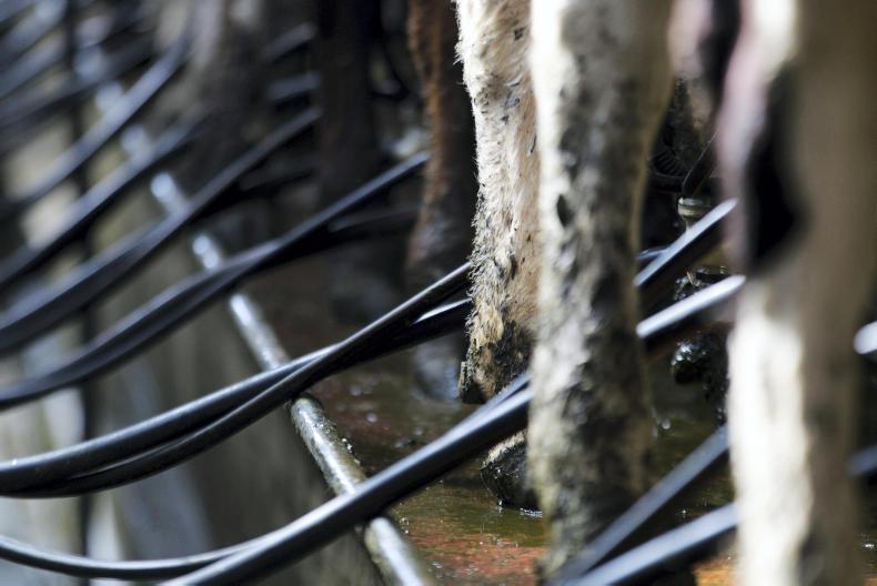 Dairy management: addressing variable butterfats