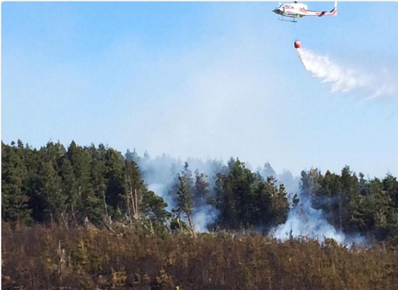 Estimating the cost of wildfires across the country will take ‘many weeks’