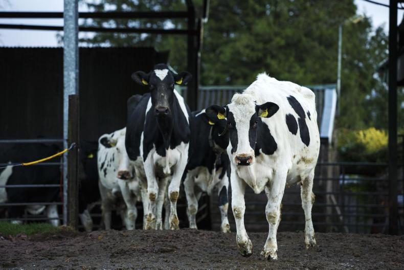 Glanbia and Kerry hold milk price for April
