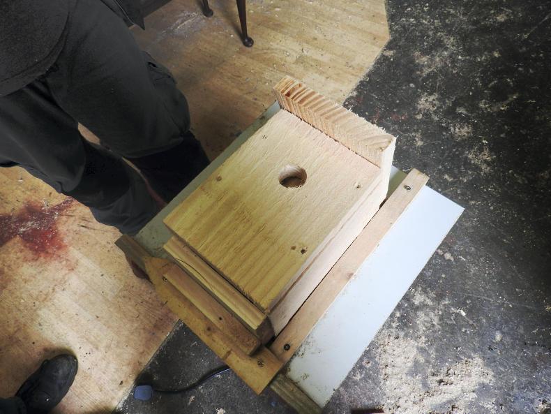 GLAS countdown: how to build bird and bat boxes