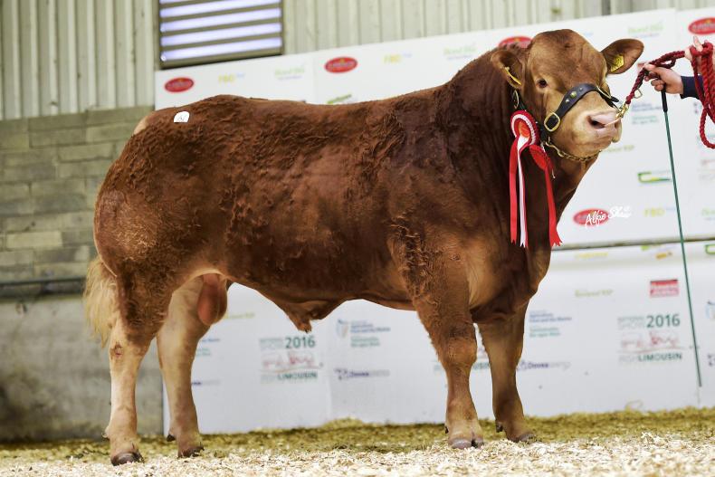 In pictures: Lenn leads Roscrea at €12,600 
