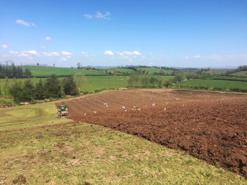 Ideal conditions for land improvement in Tyrone
