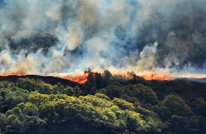 Remove burned land or lose BPS money – Department 