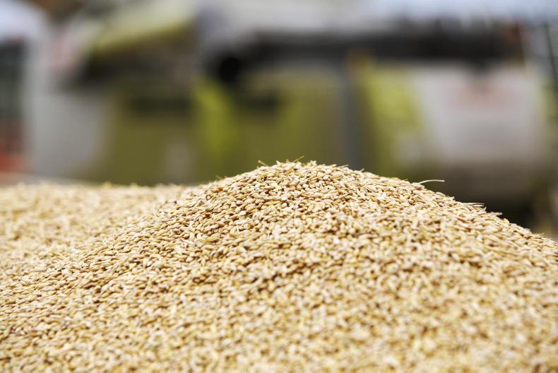 Softer tone to new-crop markets