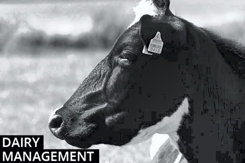 Dairy management: grass varieties