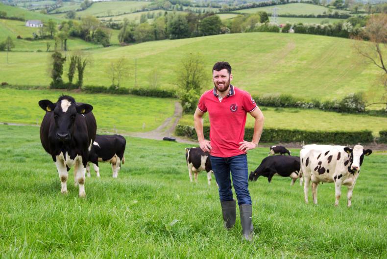 My farming week: Kevin McCaul, Lisarney, Cootehill, Co Cavan