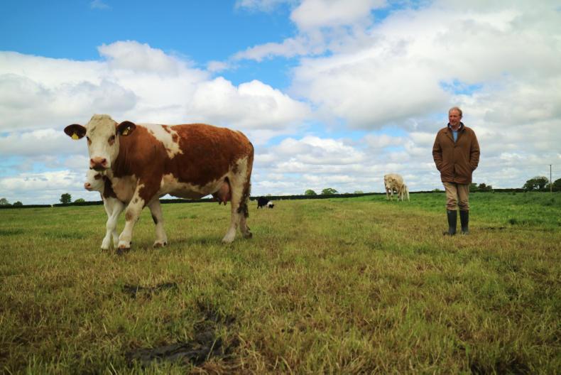 Watch and listen: lots to ponder on Portarlington BETTER farm