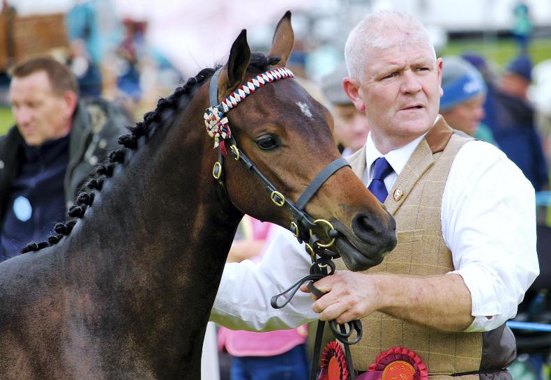 Lehane double at Bandon Show                                