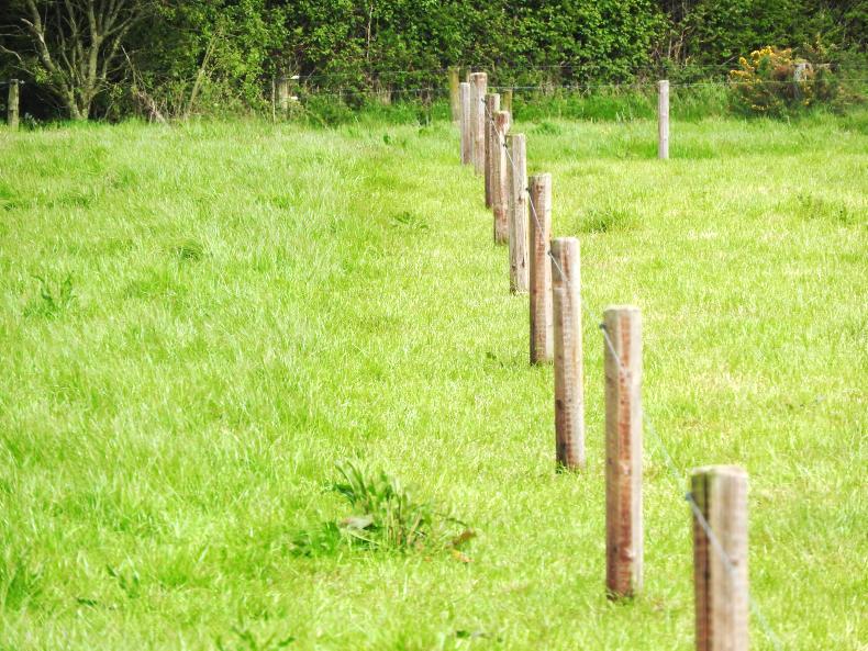 Watch: fencing waterways for GLAS