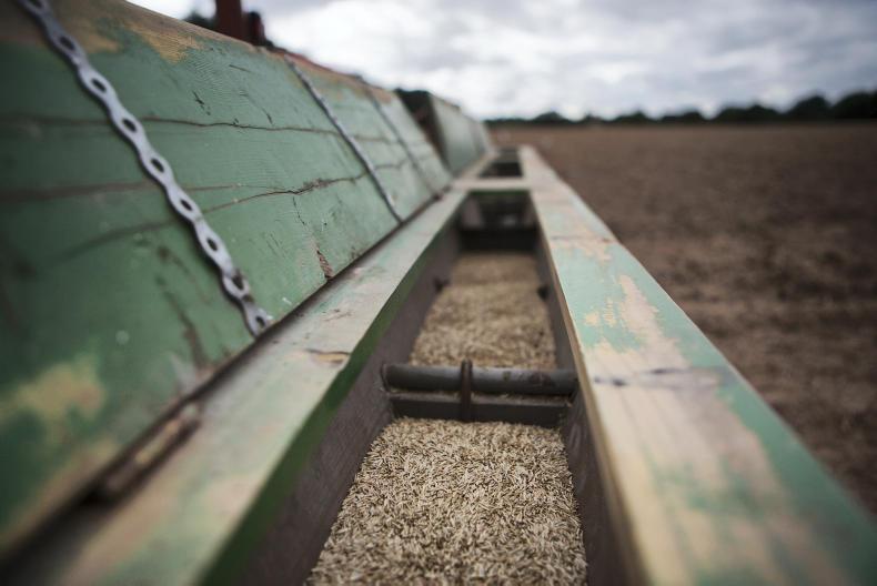 GLAS III countdown: what’s involved in establishing arable grass margins?