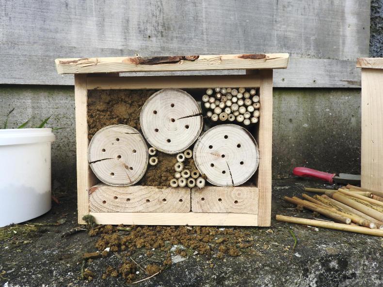GLAS III countdown: bee sand habitats and boxes