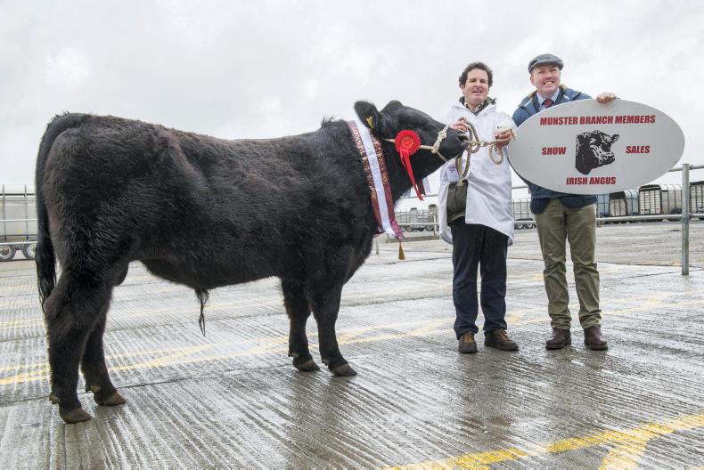 Lord Hardy son out on top again at Kilmallock