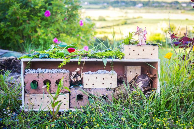 Get children growing with our new gardening series with Maura Sheehy
