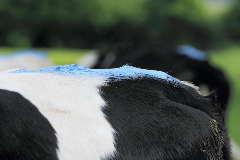 Cream the only thing holding up milk prices – Strathroy