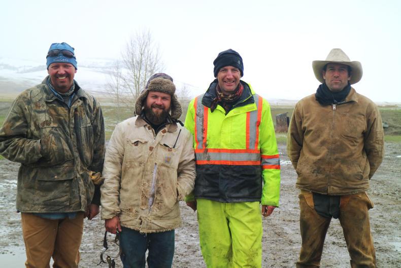 Crossing mountains, crossing cattle                                         