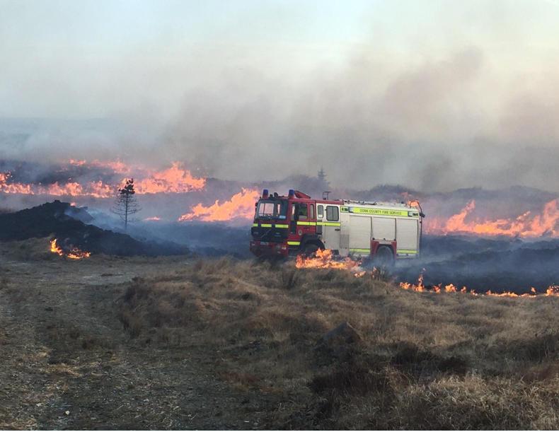 Farmers escape burned-land penalty