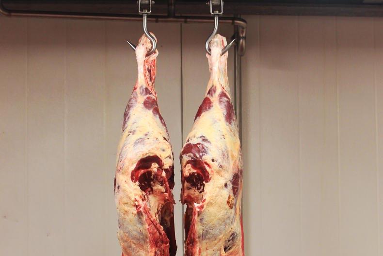 Beef prices: more cows holds kill up