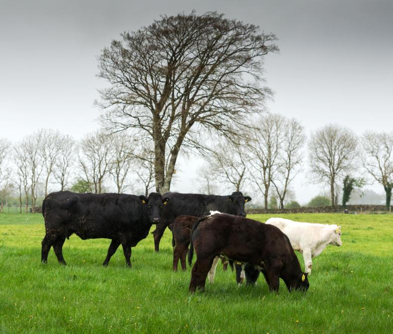 Dawn takes control of Dunbia  