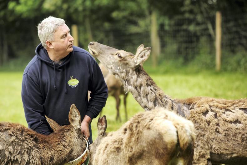 Venison in the Golden Vale at Ballinwillin House