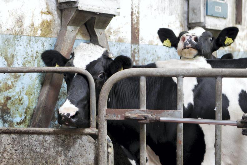 LacPatrick drops bonus on Red Tractor Milk