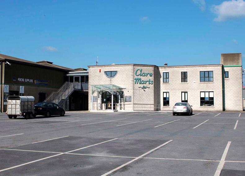 Three injured in bull attack at Clare mart