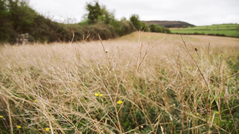 More than 350 farmers receive GLAS payments