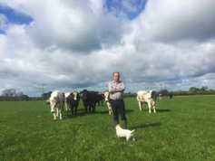 The selection criteria for a new combine The selection criteria for a new combine