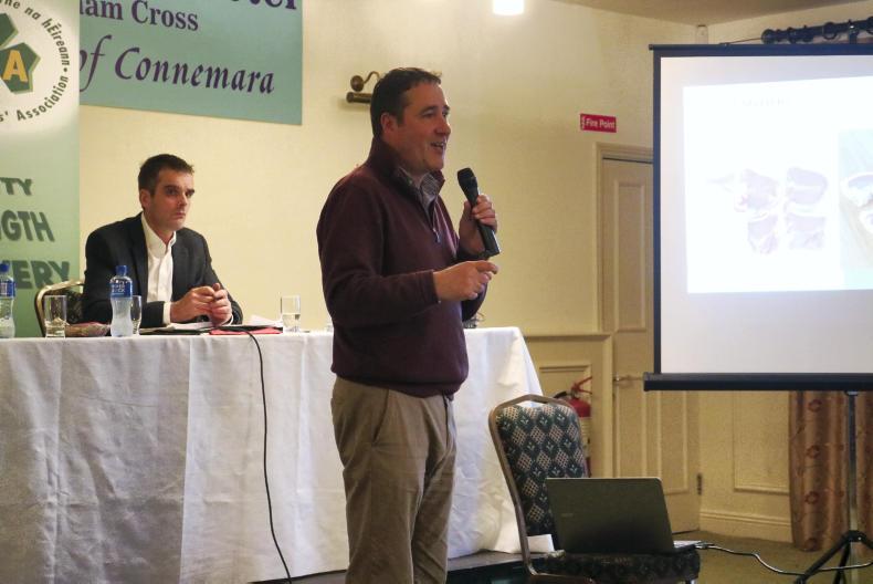 No recovery forecast in light lamb markets