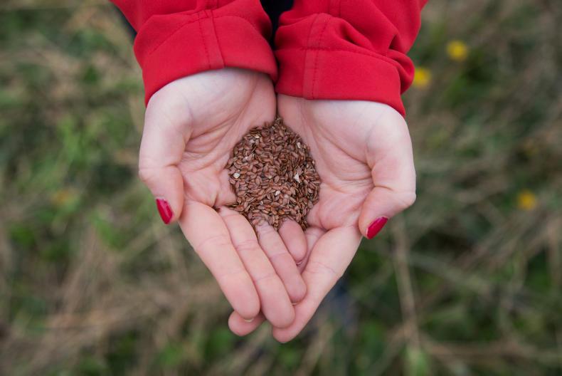 Farmers prosecuted over farm-saved seed