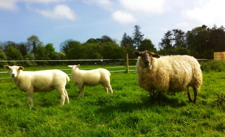 Farmer writes: using data to overcome our biases