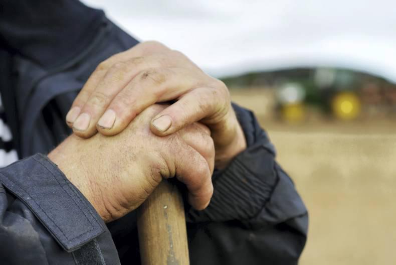 12% decrease in farmers claiming Farm Assist