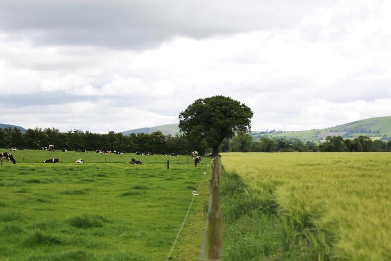 GLAS+ money paid to 2,500      