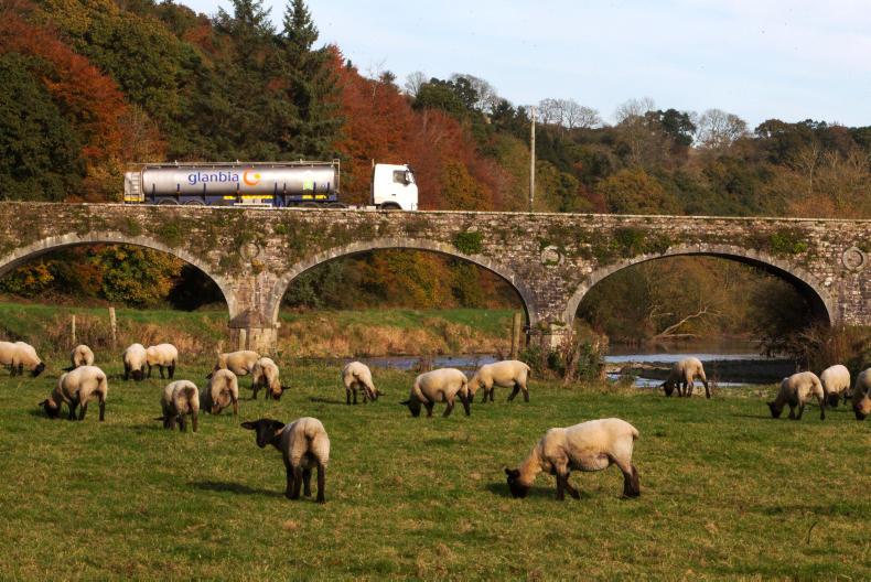 UK milk collections increase for the first time in over a year