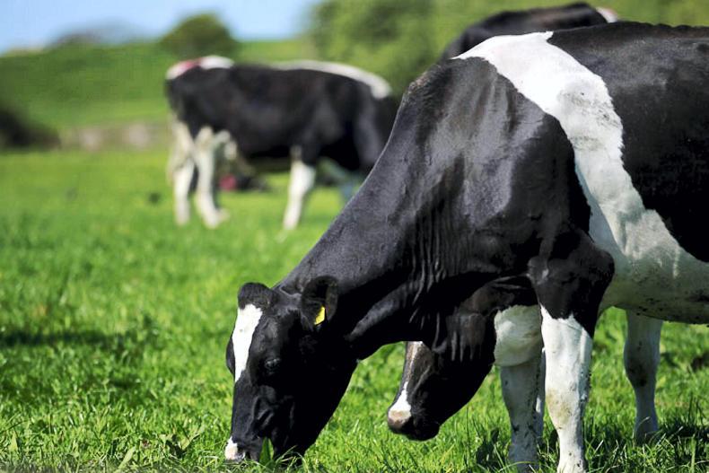 UFU milk price indicator jumps to 29.7ppl
