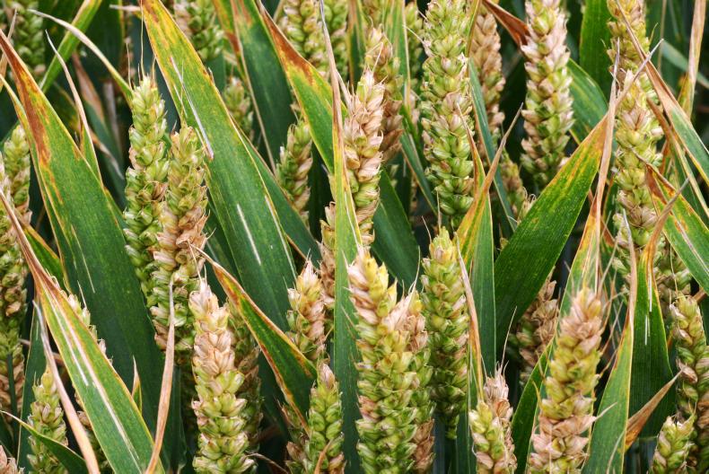 Crops and sprays: the challenges and lessons from 2017