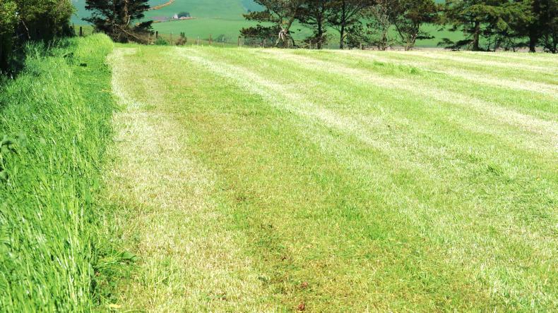 Seasonal March to May rainfall below long-term average