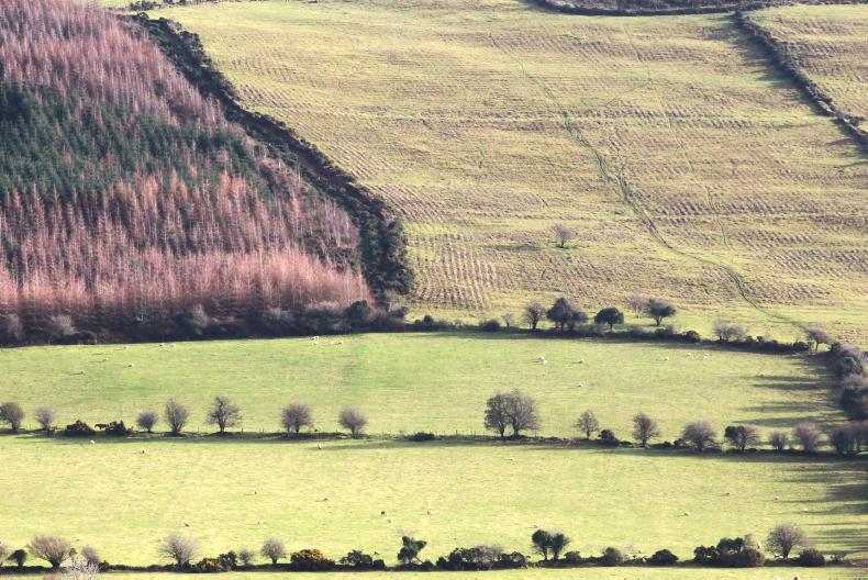 Obituary - Walter Redmond Day 