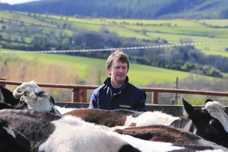Glanbia co-op board rings changes 