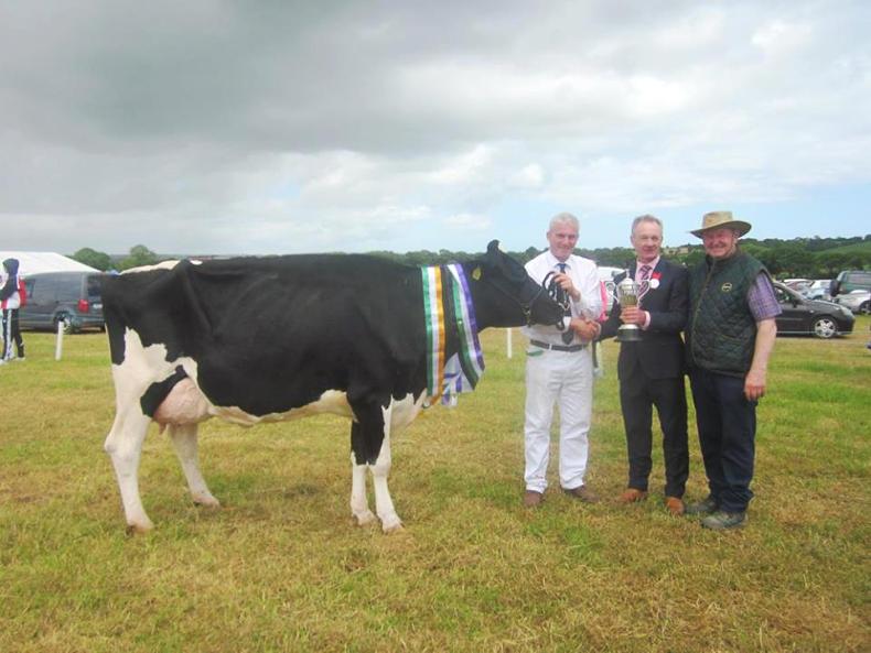 Clean sweeps in both beef and dairy at Belgooly
