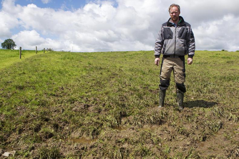 Weather wrecking southern silage season