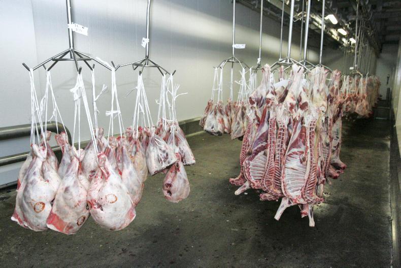 Lamb prices stabilise         