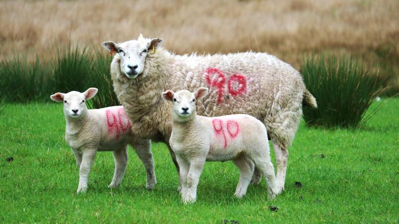 New government critical to Scottish farming’s future