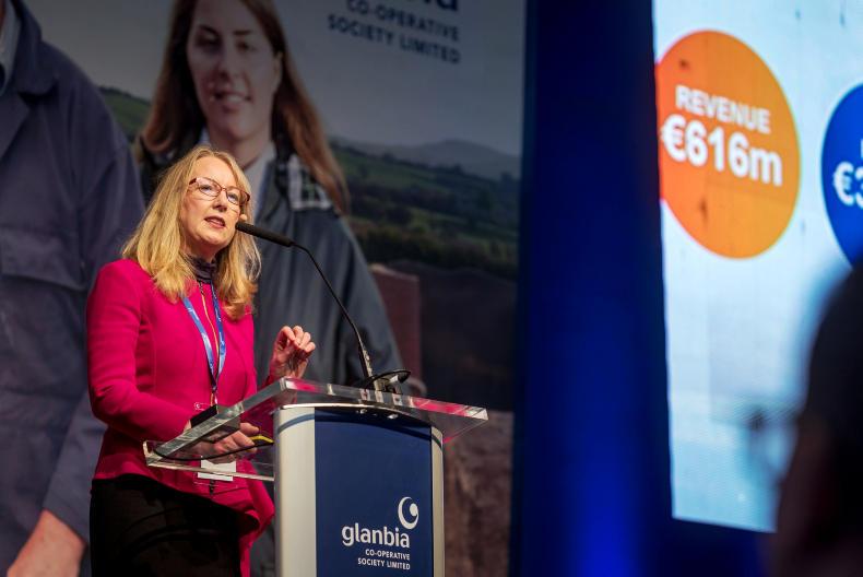 Glanbia’s €94,000 council contribution for Ballyragget extension planning
