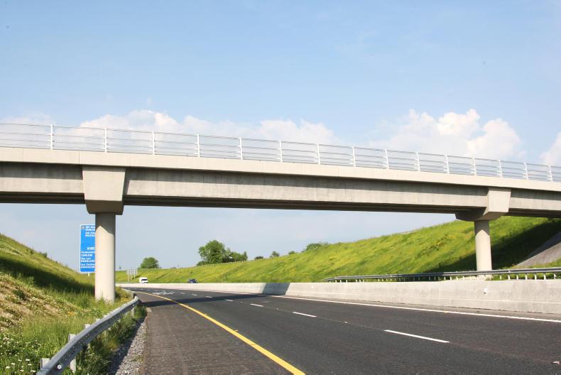 Motorists warned of loose animals on M3 