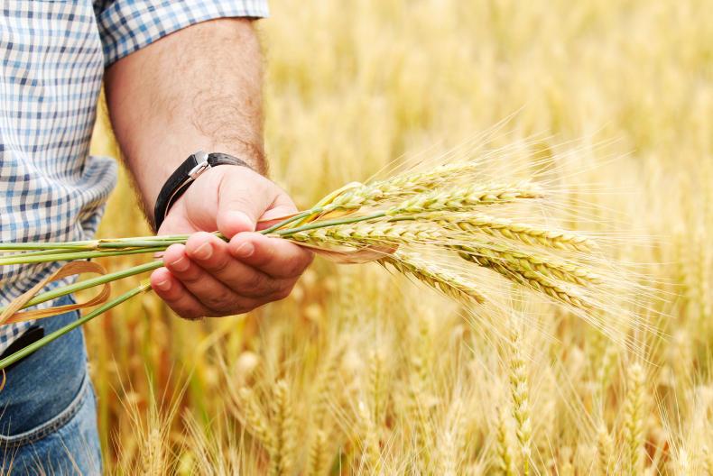 Improving the tillage sector on Agriculture Committee's agenda