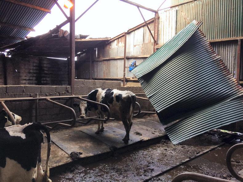 Farm insurance pitfalls cost farmers