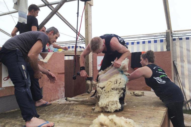 Louth man sets new eight-hour shearing record