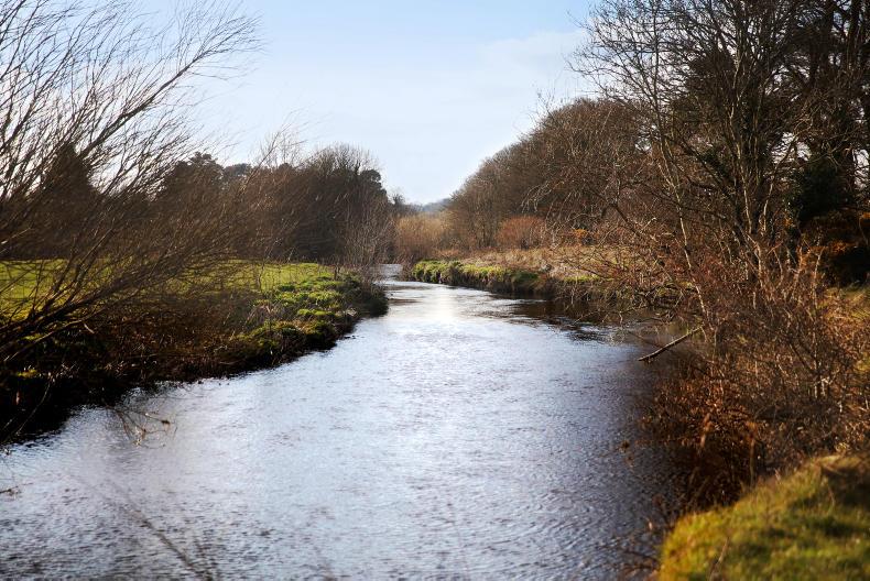 Green light for EFS applicants in NI