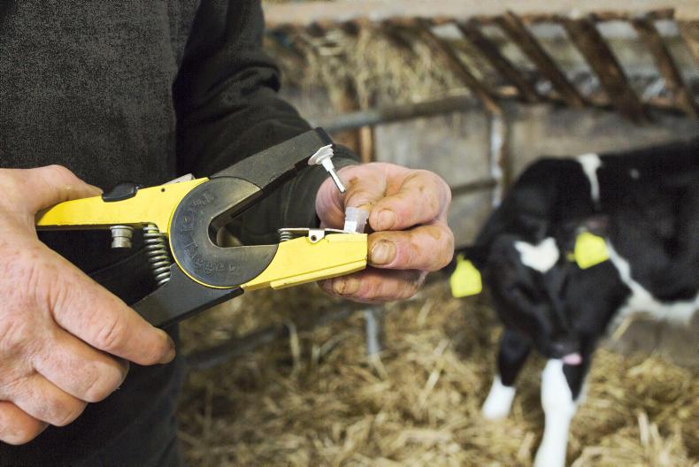 BVD name-and-shame letters triple