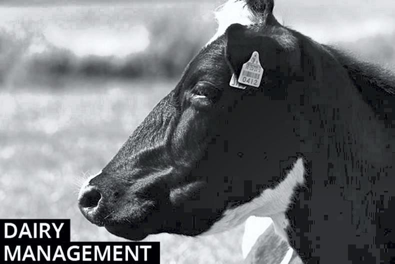 Dairy management: clover content back 